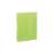 Esselte Vivida Jumbo A4 green PP folder with elastic closure