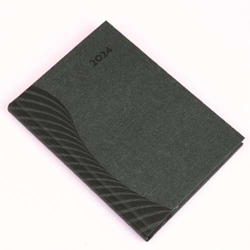 Amigo A/5 daily planner with green cover for 2024