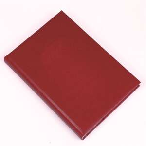 Red Realsystem 2024 Standard B/5 Daily Planner - REALSYSTEM