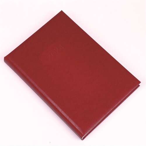 Red Realsystem 2024 Standard B/5 Daily Planner