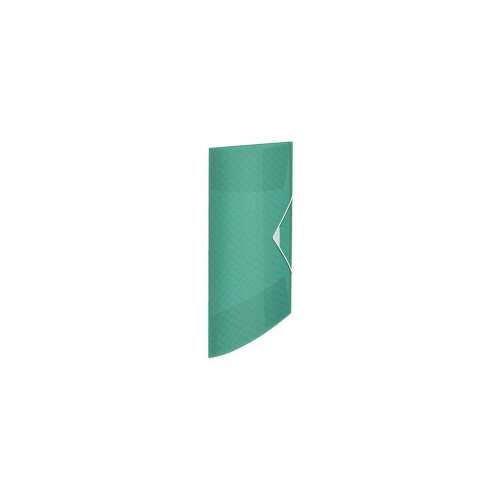 Dosar din cauciuc A4, 15mm, PP Esselte Culoare` Verde gheață