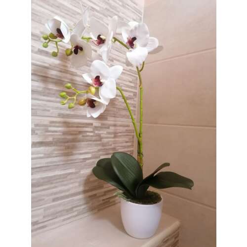 Kétágú orchidea dekor kerámia kaspóban