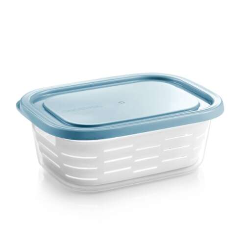 4FOOD 2.0L Freezer Storage Container with Basket, blue lid
