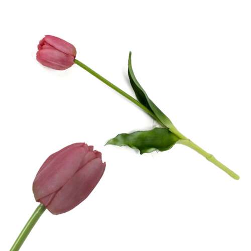 Extra tulipán-szilikon MÁLYVA az ár  szálra vonatkozik