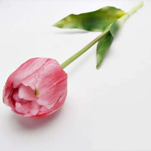 Tulipán; élethű gumitulipán Tömött fejű 40cm-PINK