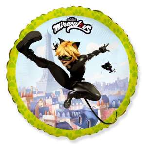 Miraculous Ladybug und Cat Noir 46cm Folienballon mit Cat Noir in Actionpose - Cat