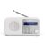 Przenośne białe radio cyfrowe Sharp DR-P420 57920137