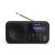 Sharp DR-P420 Portable Digital Radio - Black