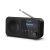 Angled View of Sharp DR-P420 Bluetooth Portable Radio