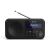 Sharp DR-P420 Portable Digital Black Radio 58256967