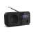 Sharp DR-P420 portable digital radio with Bluetooth, black, angled view