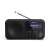 Sharp DR-P420 portable digital radio with Bluetooth, black, front view