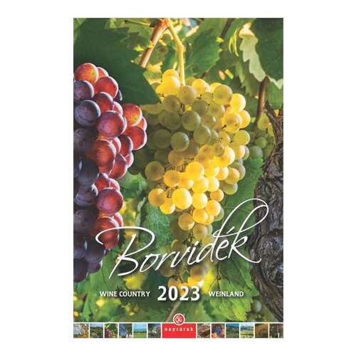 CSG "Weinregion" Illustrierter Wandkalender 58126490