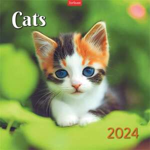 TOPIMER Macskák 2024 fali naptár, aranyos cica kék szemekkel - Irodai kiegészítő