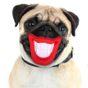 Dogs Life Dog Smiley Game - Játék egész nap 49422757 