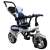 R-Sport dark blue tricycle with push bar and inflatable wheels
