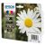Epson T1816 tintapatron BCMY multipack ORIGINAL 75894179