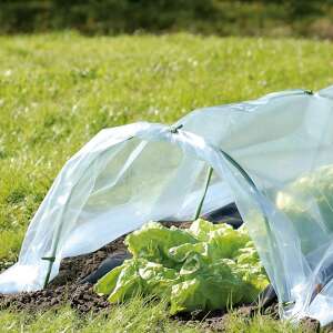 Mini fóliasátor saláta növényeket véd a kertben - Kertészeti fólia