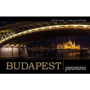 Budapest panorama 46839333 