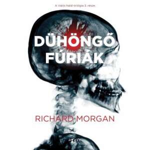 Richard Morgan: Dühöngő fúriák, sci-fi könyv borítója - Sci-Fi könyv