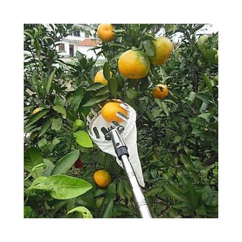 Cap pentru Recoltarea Fructelor 51356497