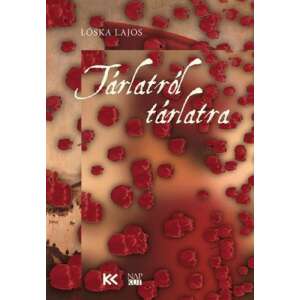 Tárlatról tárlatra - Válogatás az elmúlt másfél évtized képzőművészeti írásaiból könyvborító Lóska Lajos - Művészet & Építészet