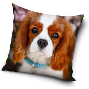 Dog pillow cover, 40x40 cm, 100% polyester - Pillowcase