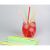 Zestaw 24 kolorowych papierowych słomek - 20 cm 50279705