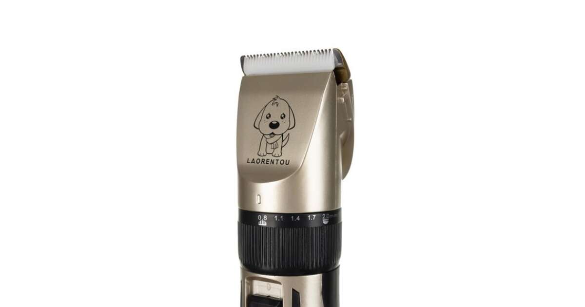 Laorentou clippers clearance