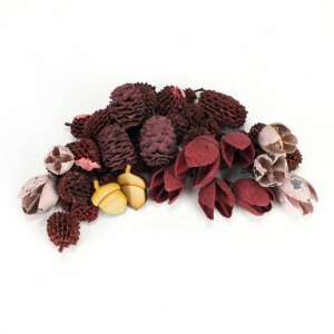 Burgundy-pink dried flower collection for home decor, featuring pinecones, acorns, and other natural elements - Art & Craft