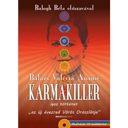 Karmakiller - Ajándék meditációs CD-melléklet - Igaz történet 46278056