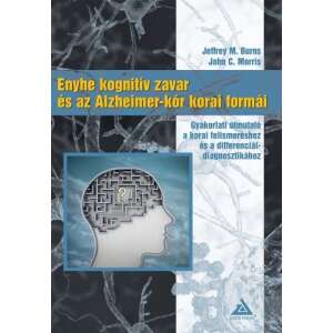 Enyhe kognitív zavar és az Alzheimer-kór korai formái 46883491 