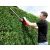 Man using Einhell GH-EH 4245 electric hedge trimmer