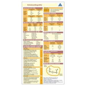 Echokardiográfia Orvosi Kártya - Referencia útmutató kardiológusok és háziorvosok számára - Természettudomány