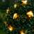 Méhecskés LED szolár fényfüzér decorating a bush
