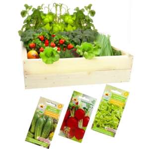 GoGarden Vyvýšený záhon 200x150x18cm + Darčekové semená