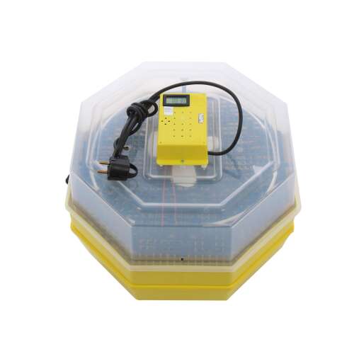 Cleo 52X-DT egg incubator, yellow, with digital thermometer and automatic egg turner