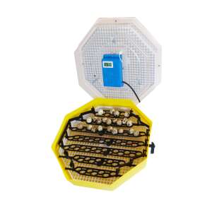 Cleo 5DTH Eierbrüter, 41 Eier Kapazität, mit automatischer Eierdrehung, Thermometer und Hygrometer, offener Blick auf Wachteleier - Viehzucht