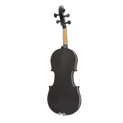 Black 4/4 size violin, back view