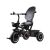 Tiny Bike 3-in-1 Dreirad im Dreiradmodus