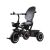 Tiny Bike 3-in-1 Dreirad im Dreiradmodus