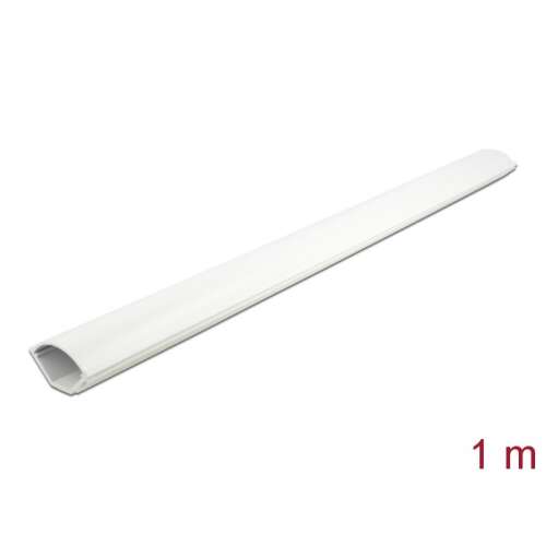 Delock white cable channel, 1 meter long, 43 x 23 mm, for hiding and organizing cables