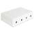 Delock Keystone wall mount box with 4 ports for network cables