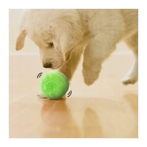 PetClean Interactive Dog Ball - Green, 10cm. Fun toy for dogs. - Dog Toy