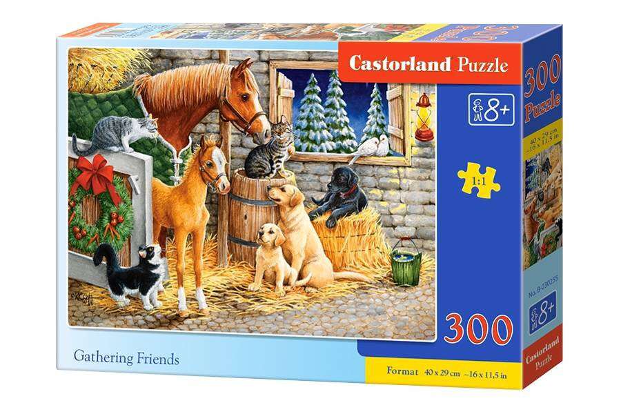 Castorland Puzzle, Összegyűlt barátok, 300 db