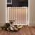 Springos safety gate, white, 76-85 cm, pressure mounted, auto close, for babies and pets, in use with dog