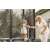 Springos Trambulin Outdoor net 305cm 51449278