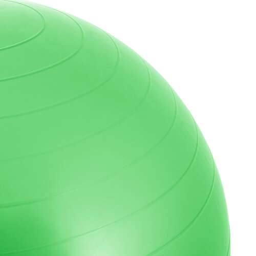 Fb0007 gymnastic ball with pump 65 cm 51452975