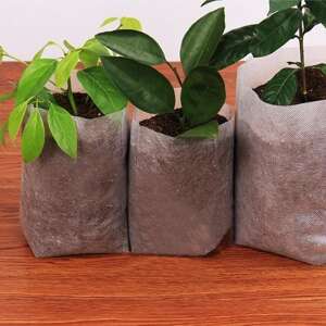 Set of 3 biodegradable seedling pots, perfect for starting seeds and transplanting seedlings - Seedling Pot