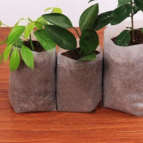 Set of 3 biodegradable seedling pots, perfect for starting seeds and transplanting seedlings